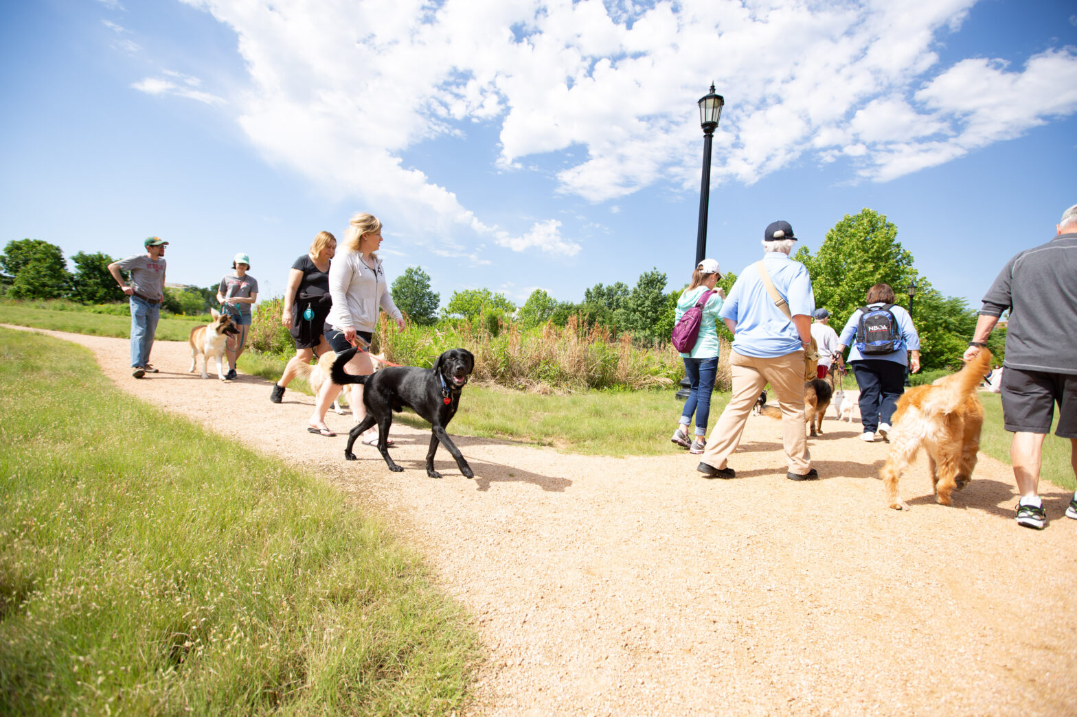 Pups in the Park Bush Center