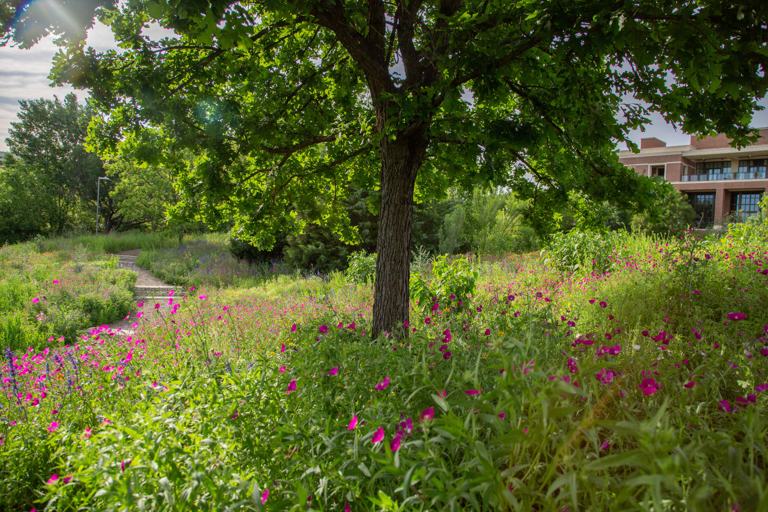 Laura W. Bush Native Texas Park at sunset, April 21, 2023.