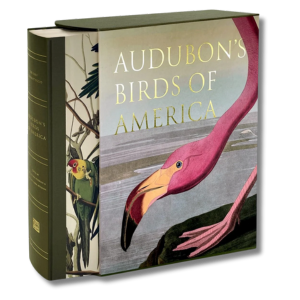 Audubon's Birds of America book