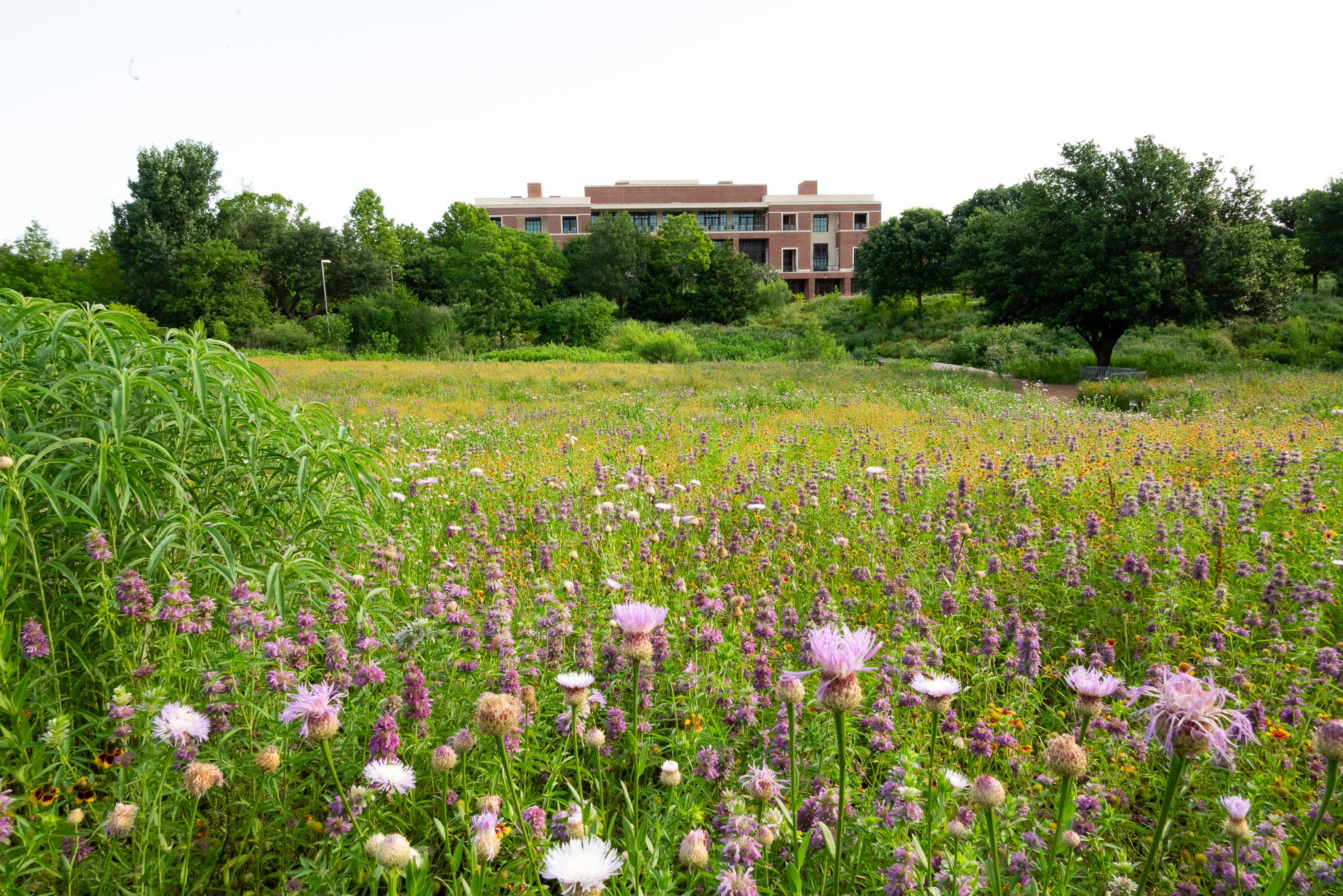 Celebrate the summer season at the Bush Center | George W. Bush ...