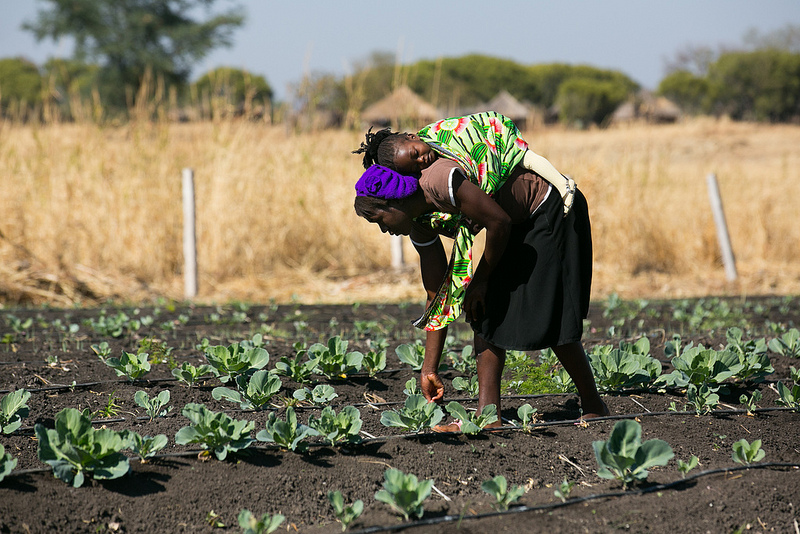 Strengthening U.S. Investments in Women’s Global Health through Public ...