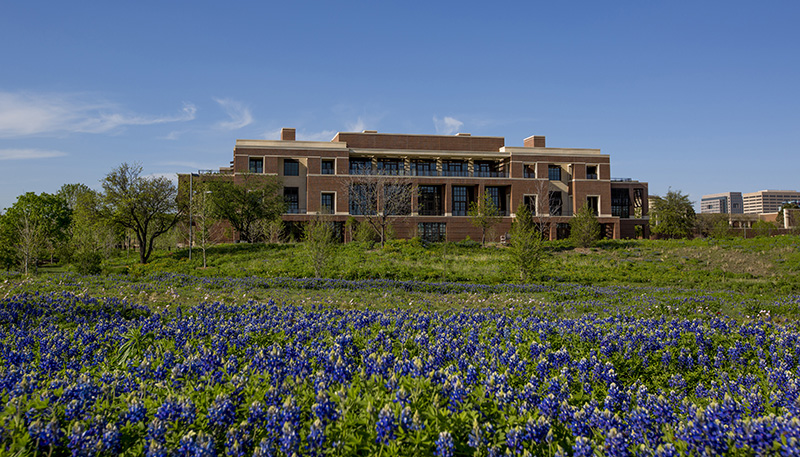 Bluebonnets in spring bloom in the Native Texas Park (Photo by Andrew Kaufmann/George W. Bush Presidential Center)