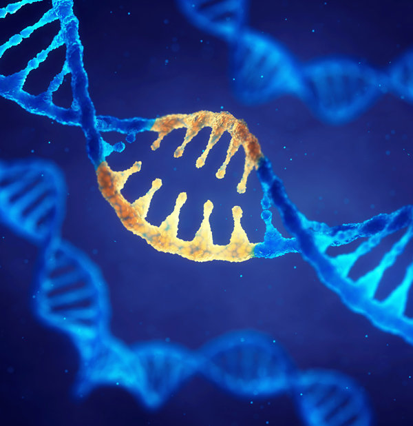 Modifying the Code of Life | George W. Bush Presidential Center