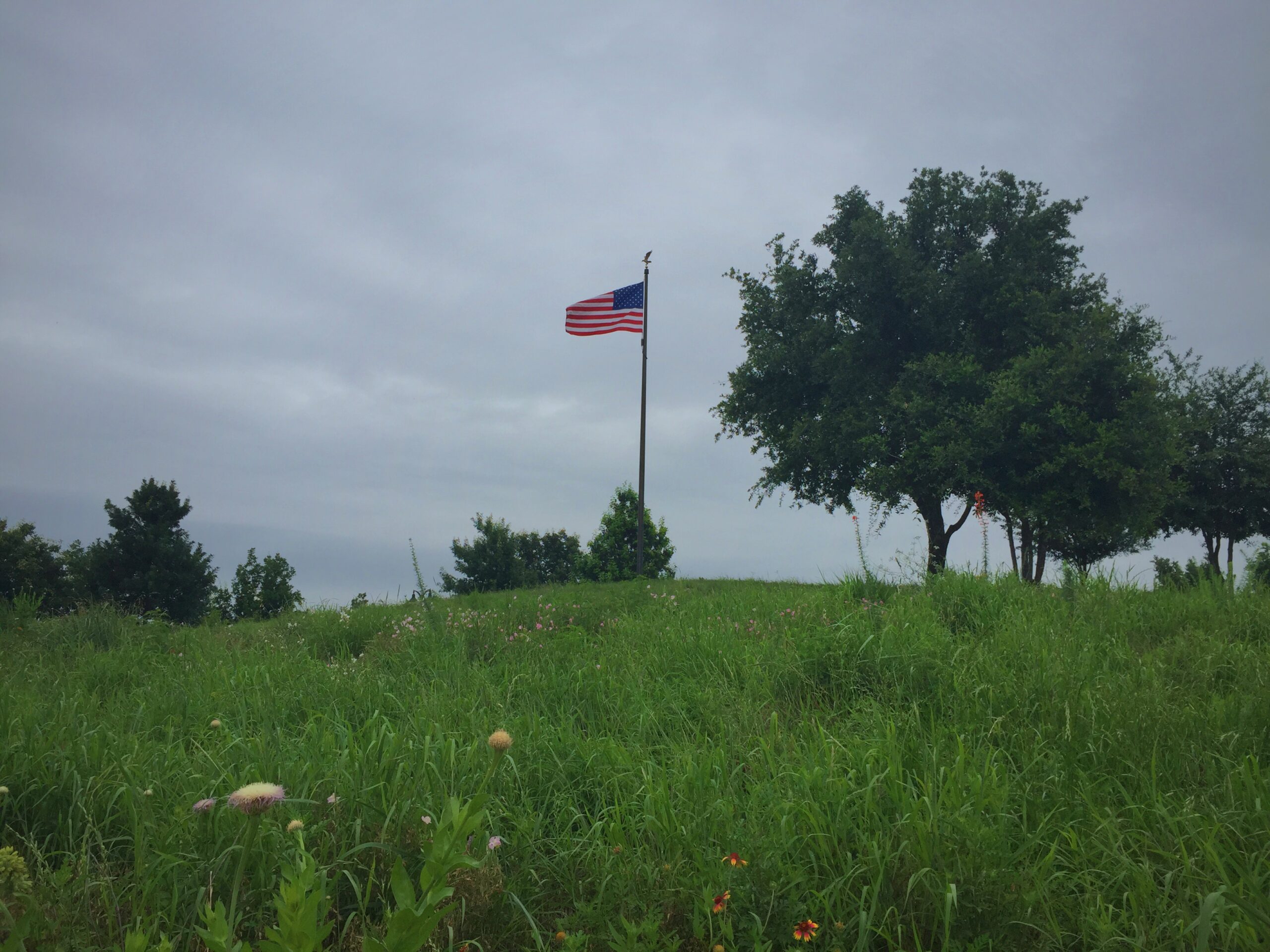 Memorial Day Weekend at the Bush Center